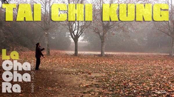 TAI-CHI-KUNG
