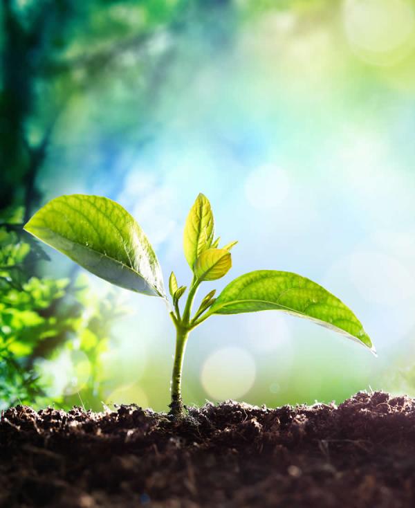 formacion-coaching-sistemico2